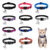 Collier Breakaway, photographie du produit