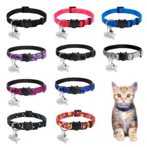 Collier Breakaway collier, bande et boucle visibles