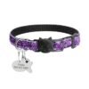 Collier Breakaway, photographie du produit