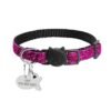 Collier Breakaway, photographie du produit