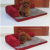 Cabine Coussin, photographie du produit