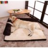 Cabine Coussin, photographie du produit