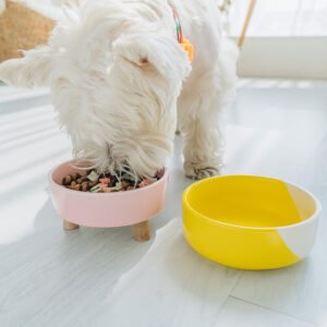 Camp Dish, product photograph