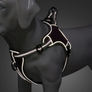 Cedar Mesh Harness, product photograph