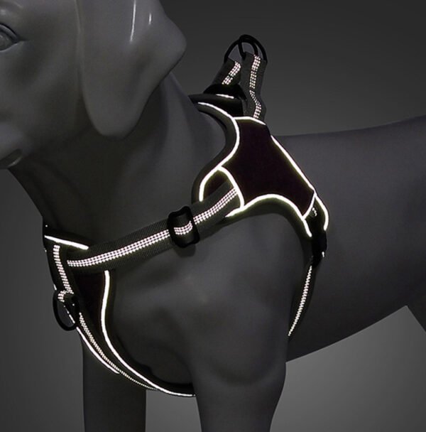 Cedar Mesh Harness, product photograph