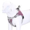 Cedar Mesh Harness, product photograph