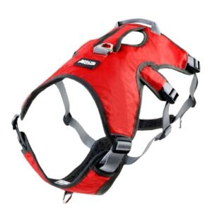 City Clip Harness, product photograph