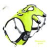 City Clip Harness, product photograph