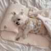 Clip Coussin, photographie du produit