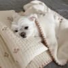 Clip Coussin, photographie du produit