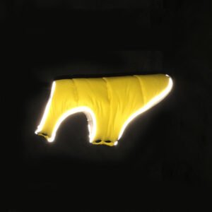 Cold Walk Coat, product photograph
