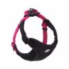 Daily Walk Lead, product photograph
