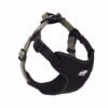 Daily Walk Lead, product photograph