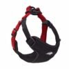 Daily Walk Lead, product photograph