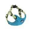 Daily Walk Lead, product photograph