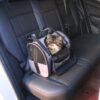 Champ Sac, photographie du produit