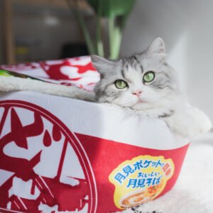 Field Cushion, product photograph