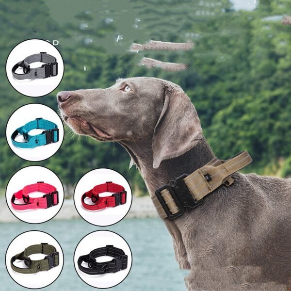 Collier Grove Clip, photographie du produit