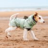 Line Coat, product photograph