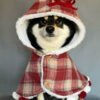 Maple Coat, product photograph
