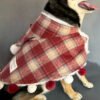 Maple Coat, product photograph