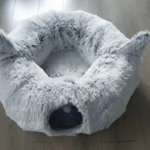 Érable Coussin, photographie du produit