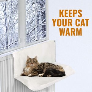Mousse Coussin, photographie du produit