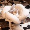 Nord Coussin, photographie du produit