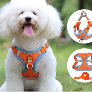 Padded Day Harness, product photograph