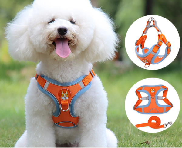 Padded Day Harness, product photograph
