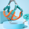 Padded Day Harness, product photograph