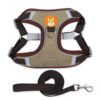 Padded Day Harness, product photograph