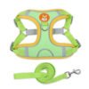 Padded Day Harness, product photograph