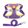 Padded Day Harness, product photograph