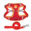 Padded Day Harness, product photograph