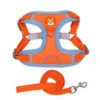 Padded Day Harness, product photograph