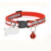 Pine Day Collar, product photograph