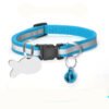Pine Day Collar, product photograph