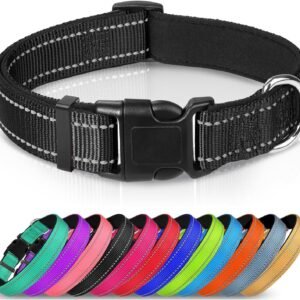 Quick Clip Collar, product photograph
