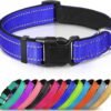 Quick Clip Collar, product photograph