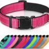 Quick Clip Collar, product photograph