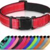 Quick Clip Collar, product photograph