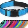 Quick Clip Collar, product photograph