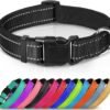 Quick Clip Collar, product photograph