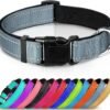 Quick Clip Collar, product photograph