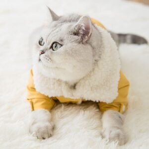 Quiet Coat, product photograph