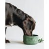 Quiet Home Bowl, product photograph