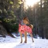 Manteau Quiet Snow, photographie du produit