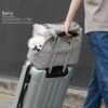 Soft Day Carrier 2, product photograph