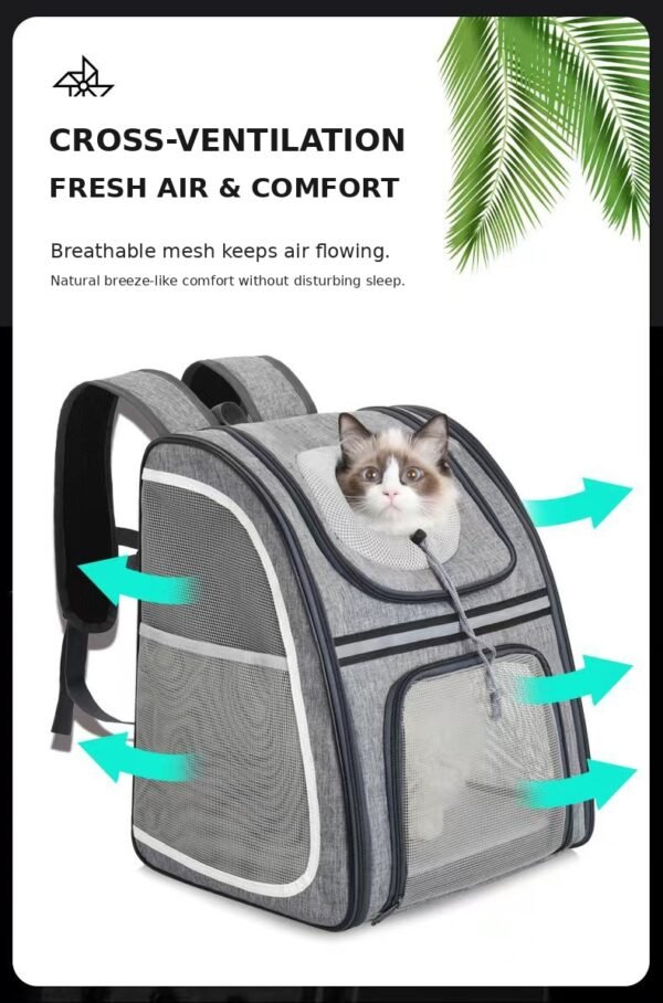 Soft Day Carrier 3, product photograph